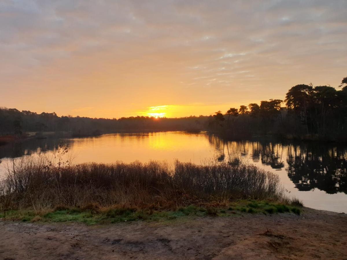 29, Natuurlijk Gelegen Nabij Efteling En Beekse Bergen, Airco & Prive Parkeren Inbegrepen! Oisterwijk Exteriör bild