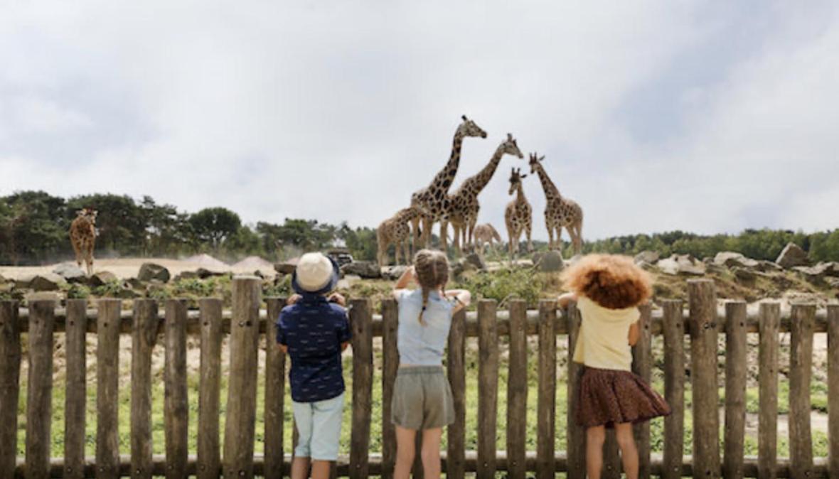 29, Natuurlijk Gelegen Nabij Efteling En Beekse Bergen, Airco & Prive Parkeren Inbegrepen! Oisterwijk Exteriör bild