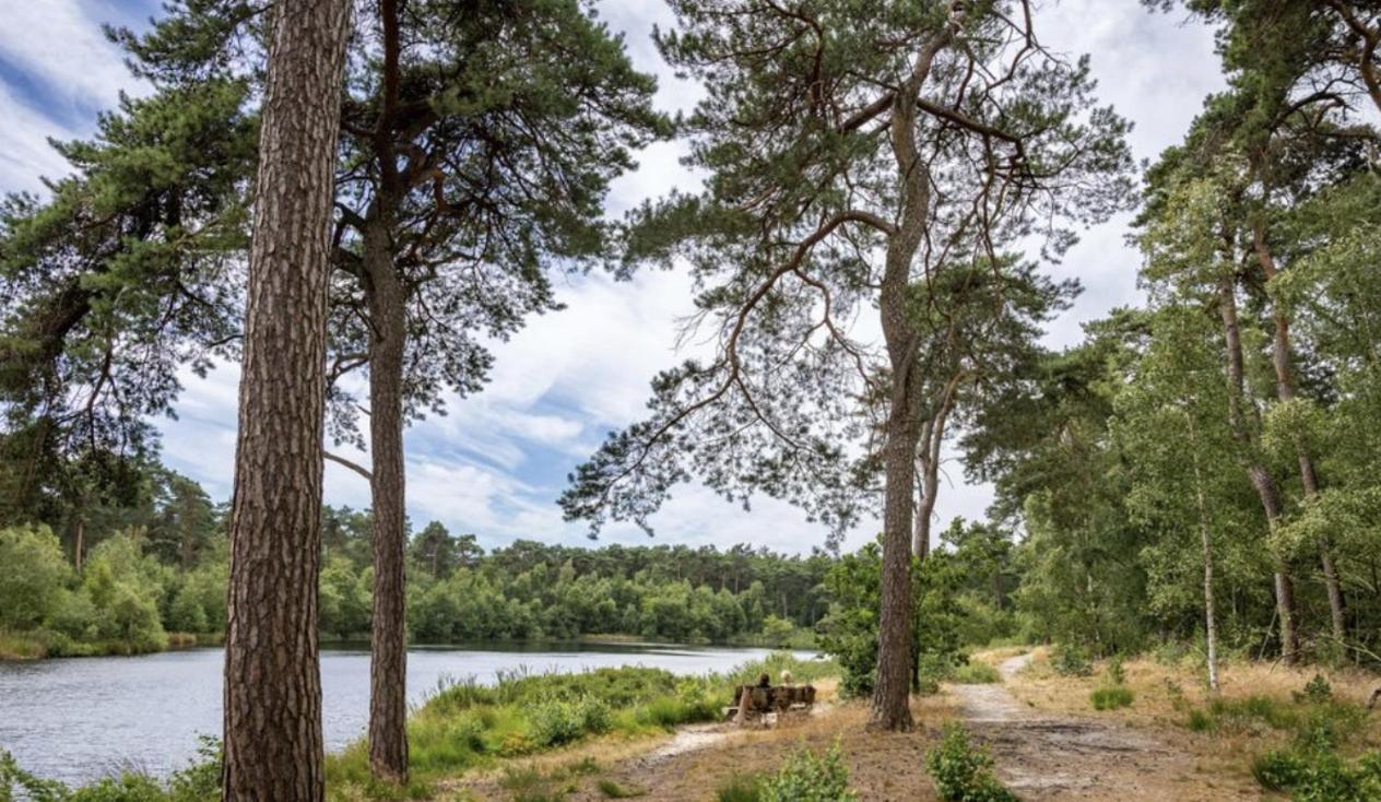 29, Natuurlijk Gelegen Nabij Efteling En Beekse Bergen, Airco & Prive Parkeren Inbegrepen! Oisterwijk Exteriör bild